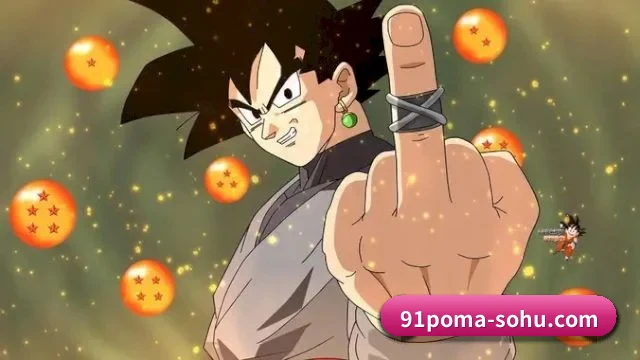 🍉 关于我们