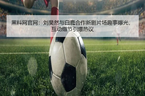 hei-liao-wang-guan-wang-liu-hao-ran-yu-bai-lu-he-zuo-xin-ju-pian-chang-qu-shi-bao-guang-hu-dong-xi-jie-yin-bao-re-yi-2-285.jpg